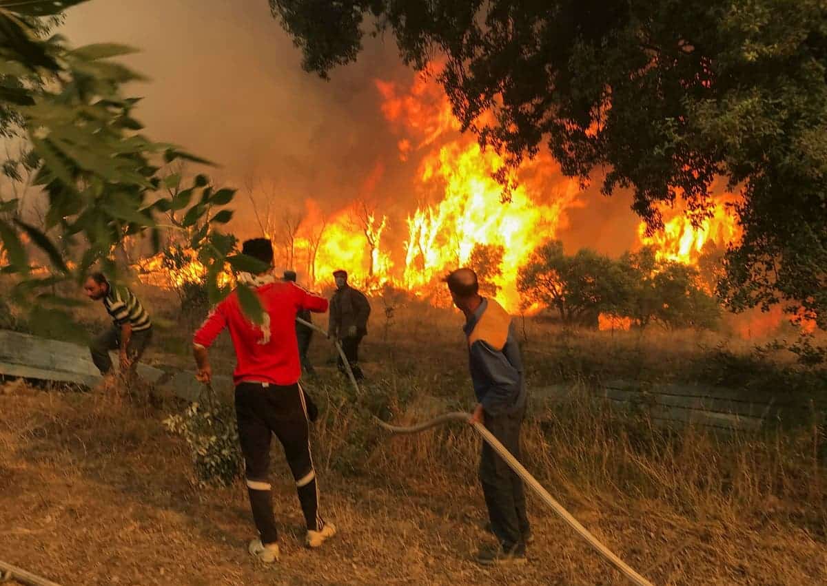 الحرائق في الجزائر