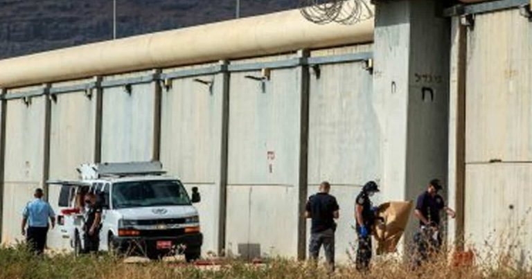 فلسطينيون يستهزؤون بالاحتلال watanserb.com