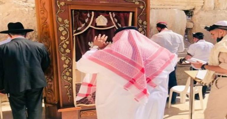 محمد آل ضريبي watanserb.com