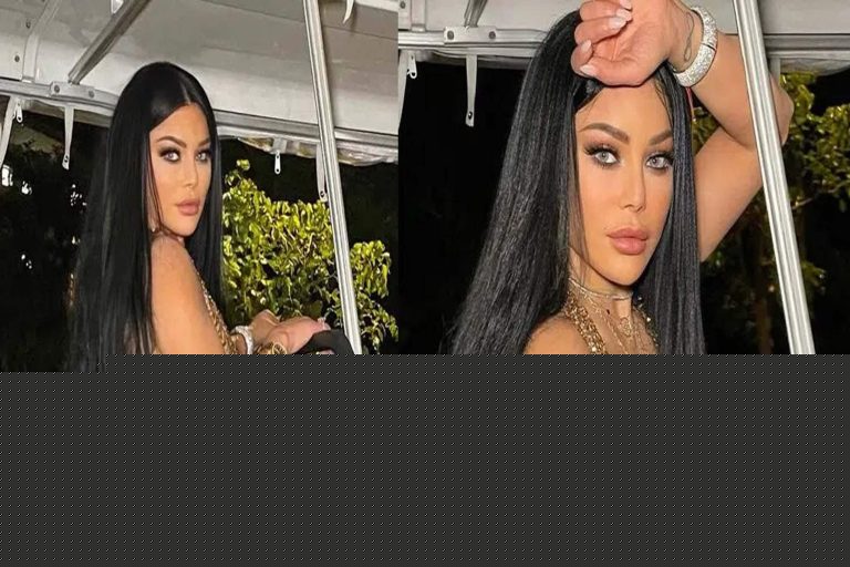 مواقف محرجة لهيفاء وهبي watanserb.com