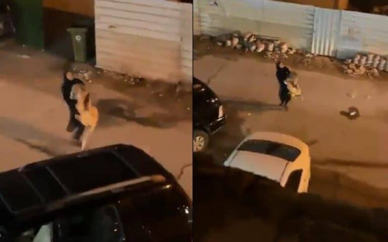 هكذا سيطرت فتاة شجاعة على الأسد الذي أثار الذعر في الكويت (فيديو) watanserb.com