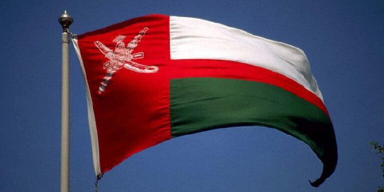 مؤسسة “ضامن”: سلطنة عمان تحتل المرتبة الأولى عربيا في معدل نمو الاستثمارات الاجمالية 2021 الاستثمارات الاجمالية 2021 watanserb.com