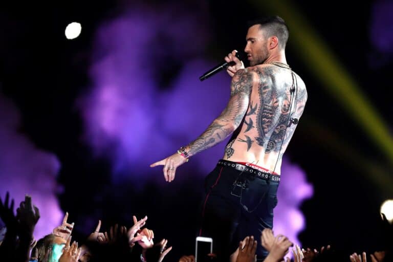 ناشطون مصريون يطالبون بمقاطعة حفل فرقة Maroon 5 العالمية في الأهرامات تضامناً مع فلسطين! watanserb.com
