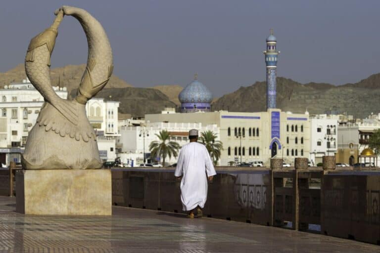 رئيس جهاز الاستثمار العماني يكشف عن رقم ضخم تم ضخه في الموازنة العامة 2021 من الأرباح سلطنة عمان الموازنة العامة watanserb.com
