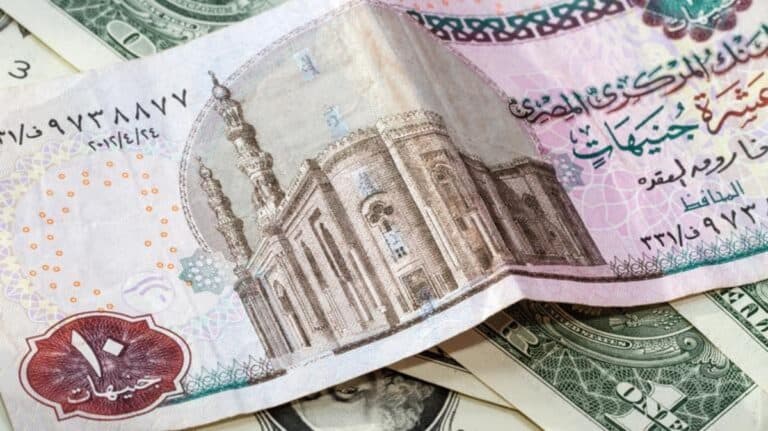 الجنيه المصري watanserb.com