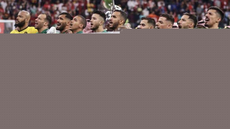 الفيفا يلغي حجز التذاكر المدفوعة الخاصة بمباريات المنتخب الجزائري في كأس العالم watanserb.com