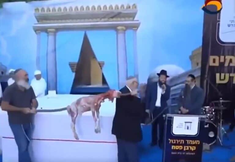 مستوطنون يذبحون القرابين قرب الأقصى مُستفزين مشاعر المسلمين! (فيديو) ذبح القرابين قرب المسجد الأقصى watanserb.com