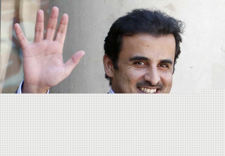 أمير قطر تميم بن حمد watanserb.com