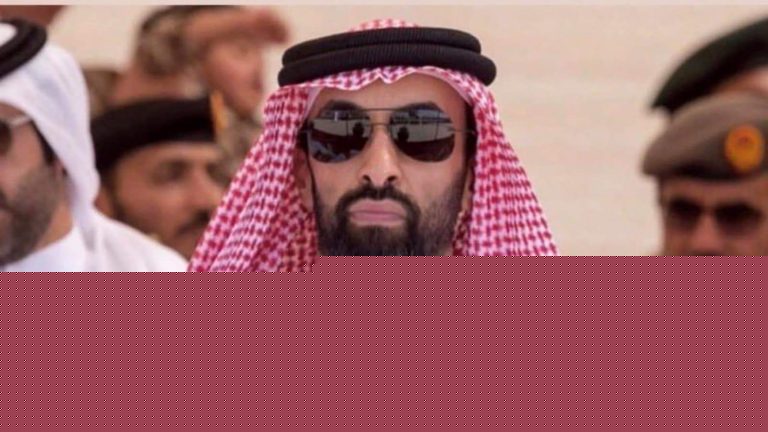 طحنون بن زايد watanserb.com