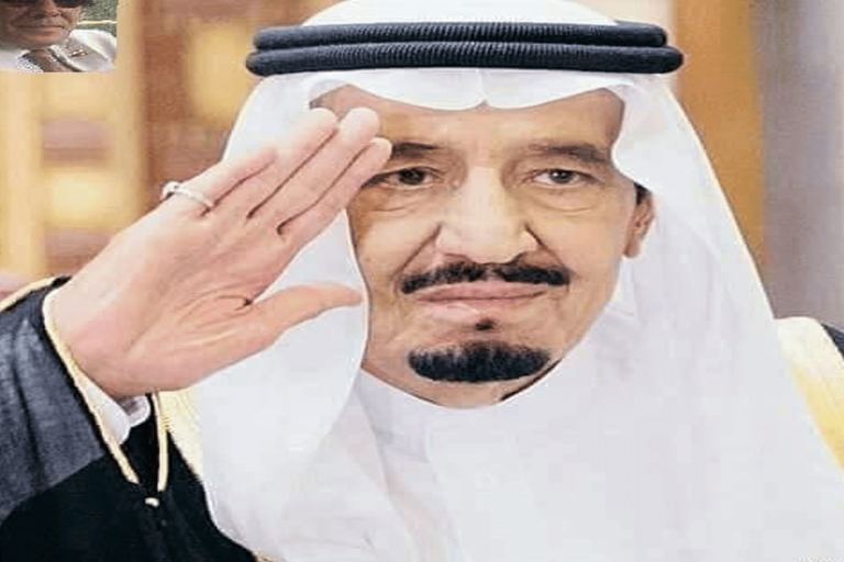 صحة الملك سلمان watanserb.com