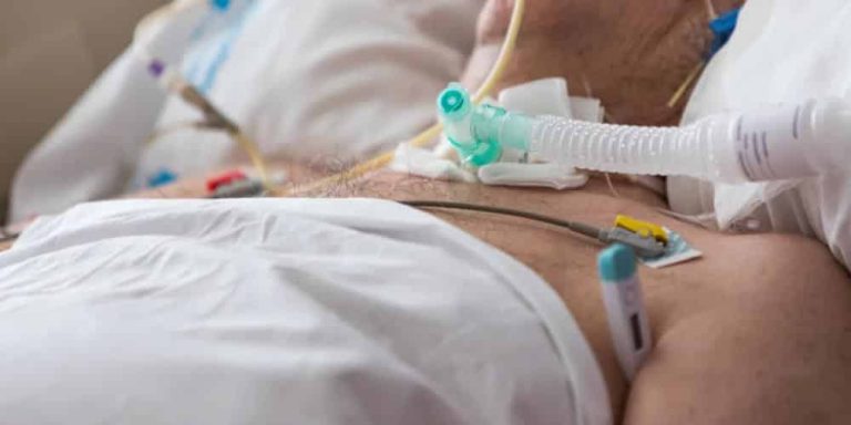الحلتيت يشغل السعوديين.. ومختص في السموم والأعشاب يكشف معلومات مُرعبة حوله! watanserb.com