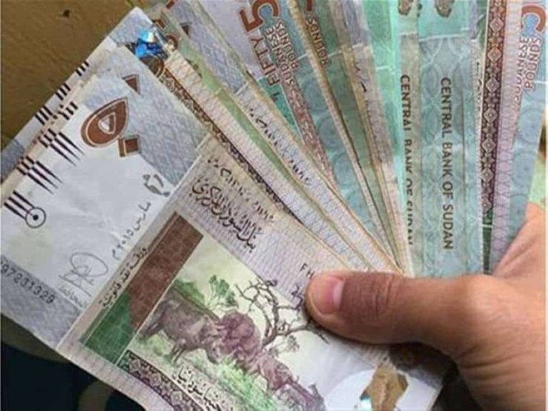 سعر الدولار في السودان اليوم الثلاثاء 21 يونيو 2022 في البنوك والسوق السوداء watanserb.com