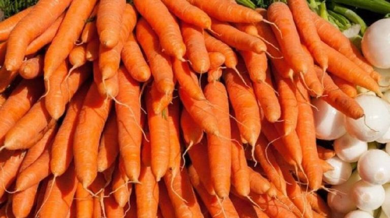 مع تقدمك في السن عليك أن تحافظ على بصرك.. إليك أفضل الأطعمة لصحة العيون من المهم رؤية الأشياء بشكل جيد watanserb.com