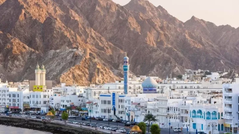 مطعم الزوجة الثانية watanserb.com
