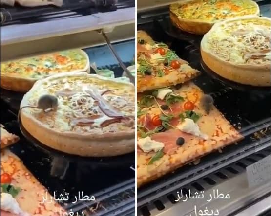 فيديو مقزز.. الفئران تغزو مطاعم مطار تشارل ديغول في باريس فئران في مطاعم مطار تشارل ديغول watanserb.com