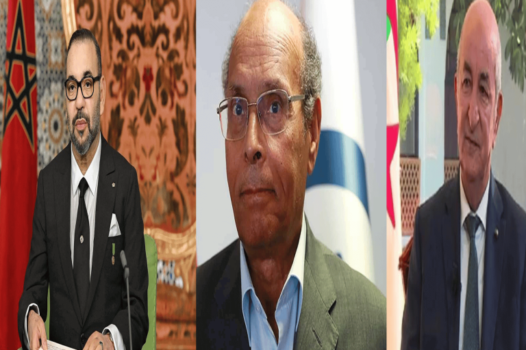 المرزوقي يحذر من سيناريو مدمر للجزائر والمغرب ويكشف عن حل وحيد أمام الصحراويين watanserb.com