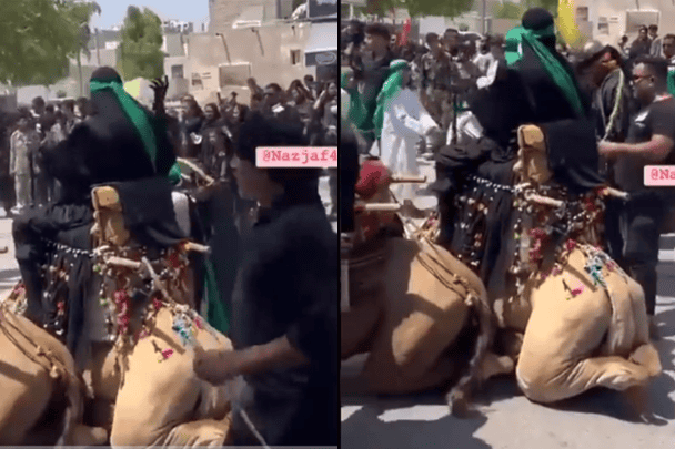 ردّ فعل لا يُصدّق لجمل عندما حاول الشيعة تجسيد مشهد السيدة عائشة (فيديو) الشيعة يجسدون مشهد السيدة عائشة watanserb.com