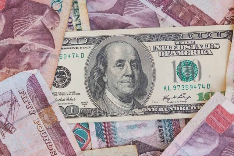 مصر حددت سعر الدولار الجديد أمام الجنيه وانقسام حول موعد التعويم الدولار أمام الجنيه المصري watanserb.com