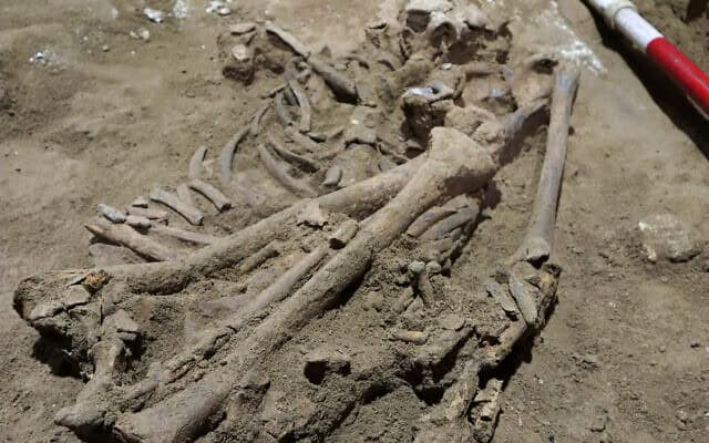 هيكل عظمي عمره 31 ألف عام يكشف عن أقدم عملية جراحية في تاريخ الطب (صور) هيكل عظمي عمره 31 ألف عام يكشف عن أقدم عملية جراحية في تاريخ الطب watanserb.com