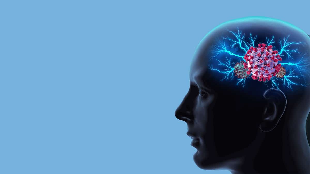 عملية تكوين الخلايا العصبية الجديدة، من خلال الميلاتونين يحتاج إلى تجارب سريرية إضافية