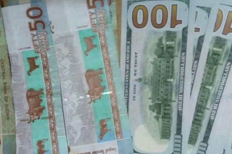 سعر الدولار في السودان اليوم الاثنين 5 سبتمبر 2022.. انخفاض كبير في سعر اليورو والإسترليني سعر الدولار في السودان اليوم watanserb.com