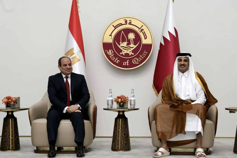 عبدالفتاح السيسي و تميم بن حمد watanserb.com