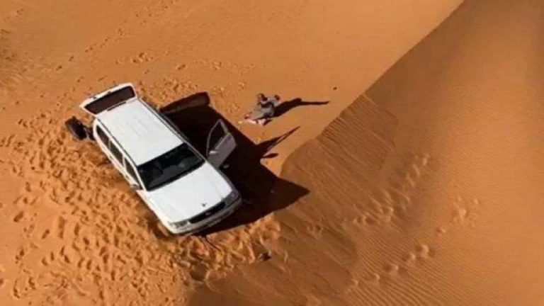 مفقود عفيف watanserb.com