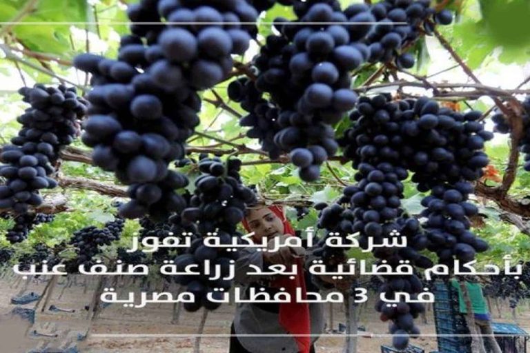 مقاضاة فلاحين مصريين watanserb.com