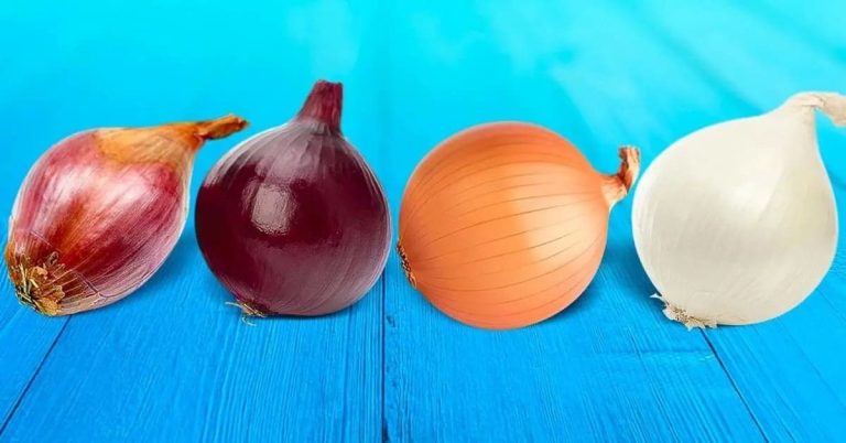 هناك فرق بين البصل الأحمر والأبيض والأصفر وكل نوع له استخدام محدد watanserb.com