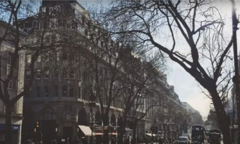 اختبار الذكاء .. 1٪ فقط يمكنهم اكتشاف الكلب المخفي في الصورة خلال 7 ثوانٍ! اختبار الذكاء .. 1٪ فقط يمكنهم اكتشاف الكلب المخفي في الصورة خلال 7 ثوانٍ watanserb.com