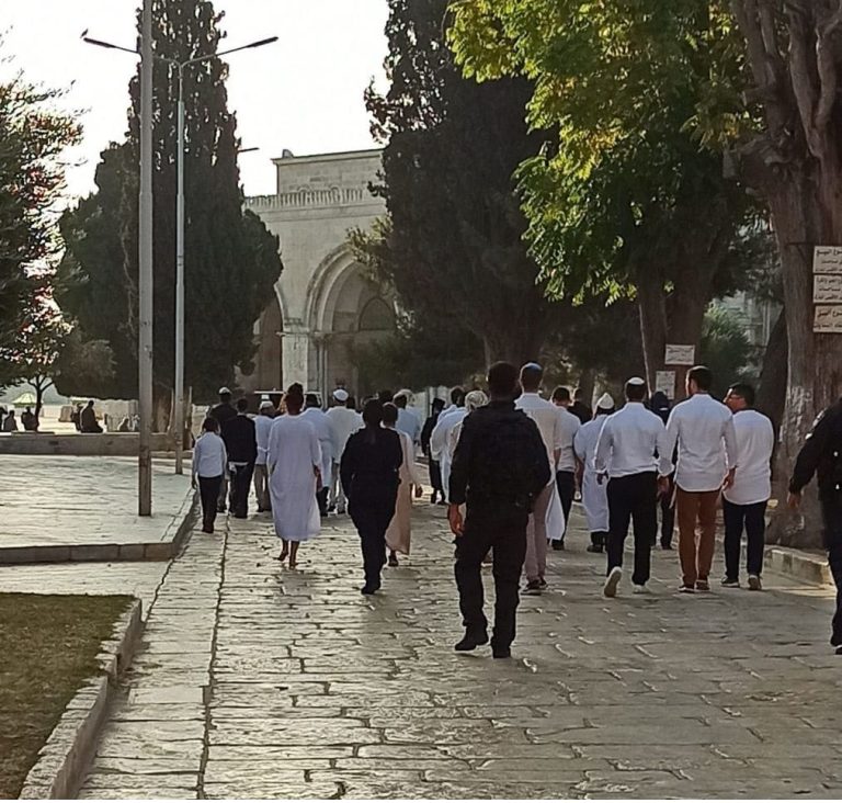 الأقصى يُدنس في “يوم الغفران”.. اقتحامات واعتداءات وتضييق على المقدسيين (فيديو وصور) اقتحام المسجد الأقصى watanserb.com