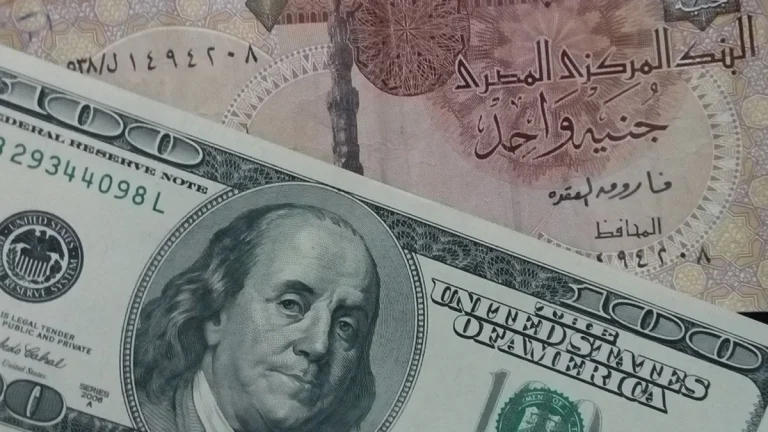 سعر الجنيه المصري watanserb.com