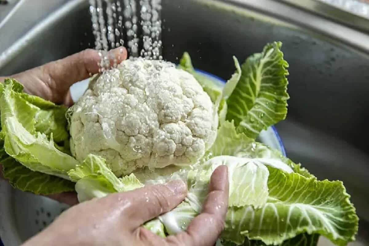 القرنبيط من أسهل الخضروات التي يمكن طهيها والتي يمكنك من خلالها تحضير وصفات مختلفة