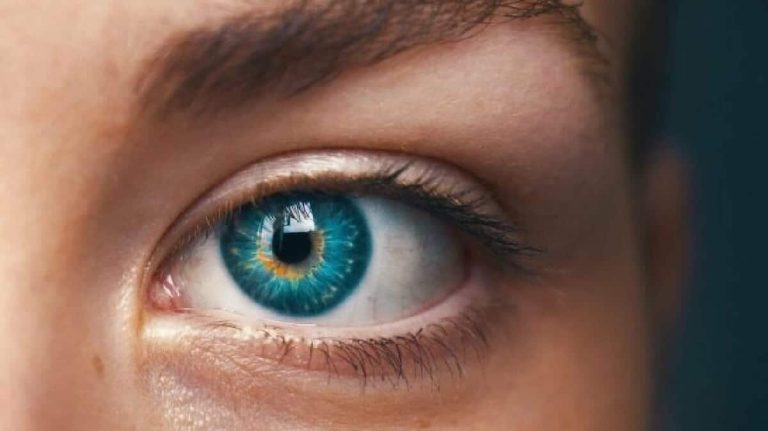 عدم تنظيفك لحافظة العدسات اللاصقة… يمكن أن يُفقدك البصر حافظ على سلامة عينيك من العدسات watanserb.com