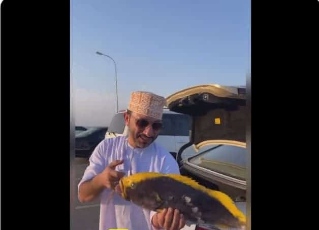 اصطياد “سمكة ذهبية” نادرة في سلطنة عمان وسعرها خيالي (فيديو) سمكة ذهبية في سلطنة عمان watanserb.com