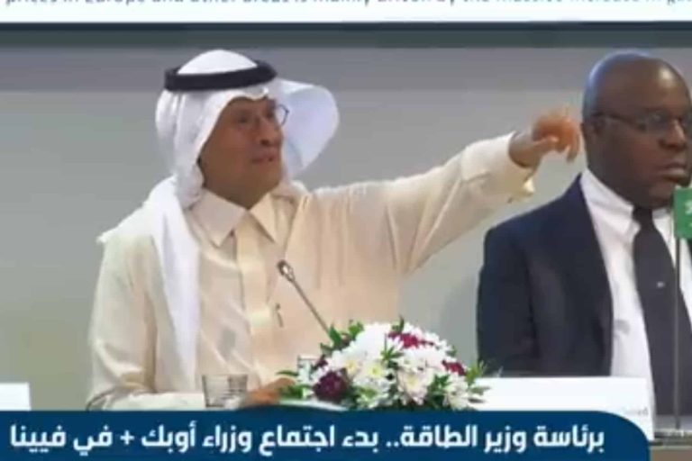 عبدالعزيز بن سلمان watanserb.com