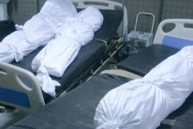 ادعى تواصله مع الجثث ومعرفة سبب وفاتها.. مصير “مستريح الطب الشرعي” بمصر مستريح الطب الشرعي watanserb.com