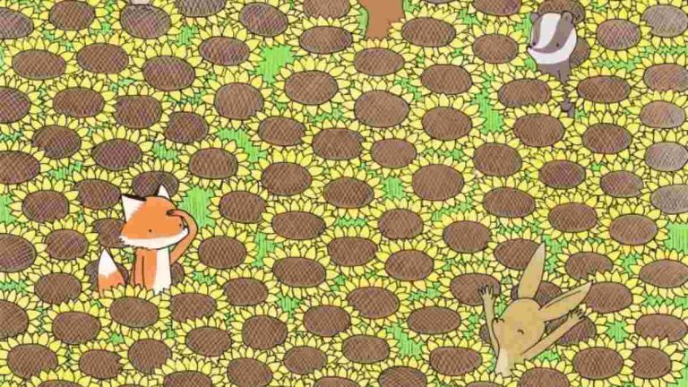 لديك 13 ثانية .. هل تستطيع تحديد مكان الفراشة بهذا الوهم البصري؟ هل تستطيع تحديد مكان الفراشة بهذا الوهم البصري؟ watanserb.com
