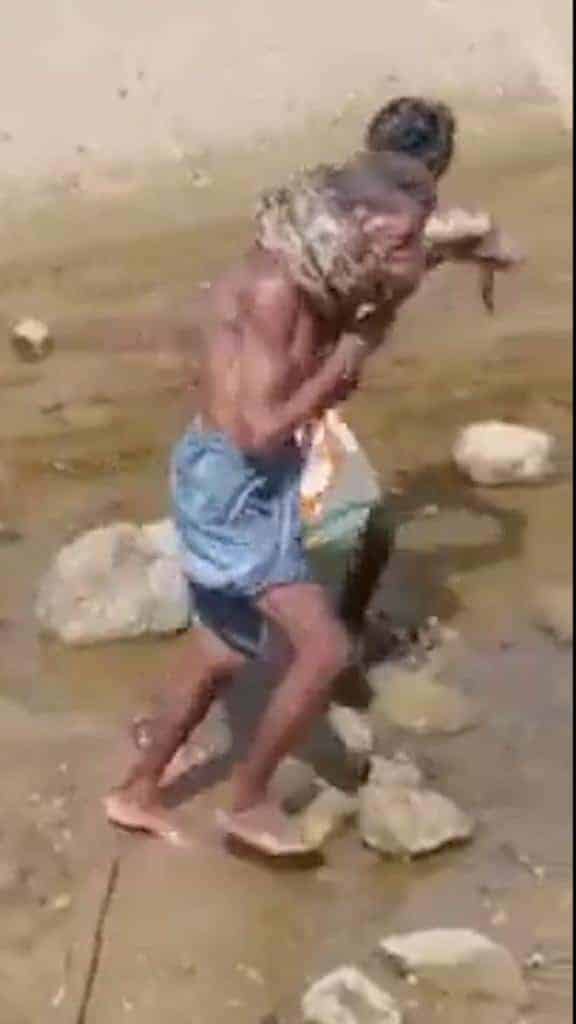 ثعبان ضخم