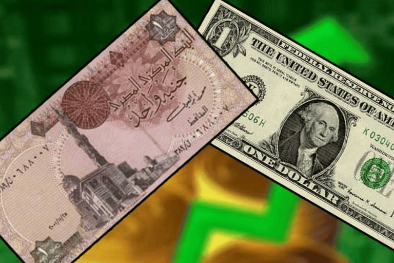 لماذا تقدم البنوك الإمارتية العاملة في مصر أعلى سعر لشراء الدولار؟.. خبراء متخوفون! البنوك الاماراتية watanserb.com