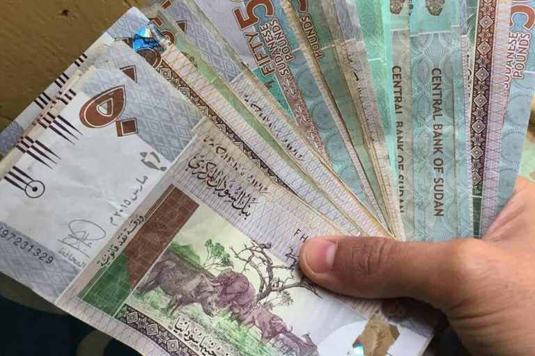 الدولار في السودان watanserb.com