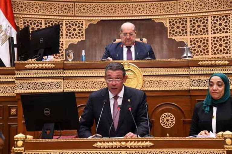مصر: لماذا قررت وزارة الخارجية منح ثلث رواتب السفراء بالجنيه؟ قرار وزارة الخارجية watanserb.com