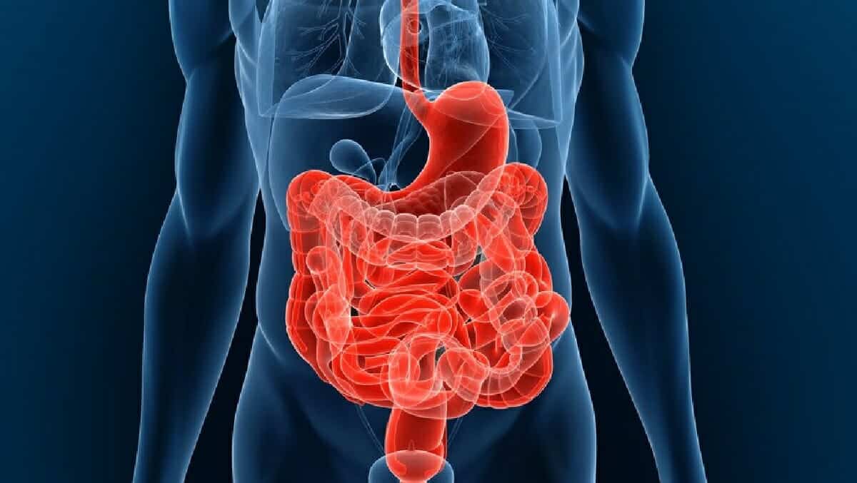 أمراض الأمعاء الالتهابية: 8 عادات يجب اتباعها لحماية نفسك وفقًا للعلماء أمراض الأمعاء الالتهابية watanserb.com