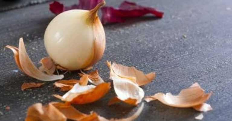 البصل watanserb.com