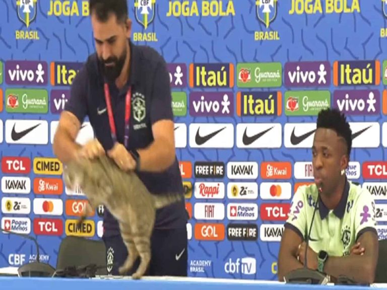 قطة تفاجئ فينيسيوس جونيور وتصرف غريب للمسؤول في إبعادها watanserb.com