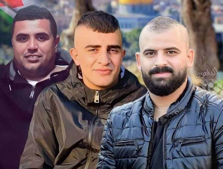 3 شهداء في جنين watanserb.com