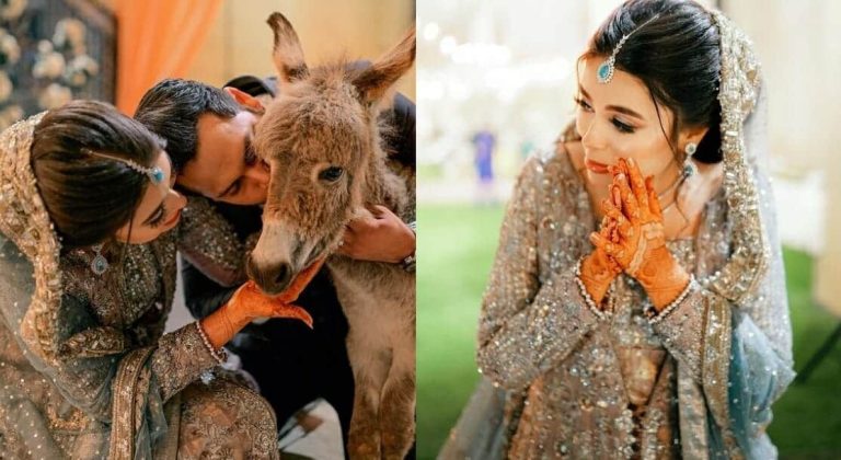 عريس يهدي عروسه حماراً ليلة الزفاف .. السبب لا يُصدّق! (فيديو) عريس يهدي عروسه حماراً watanserb.com