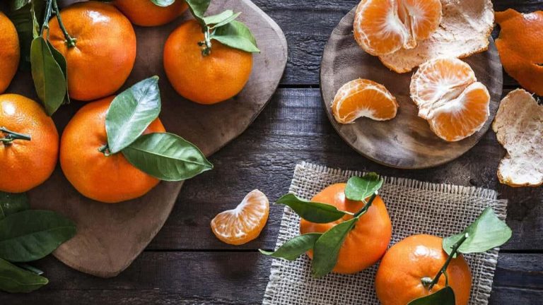 فوائد عجيبة للبرتقال في الشتاء ستجعلكم تتناولونه يومياً! فوائد عجيبة للبرتقال في الشتاء ستجعلكم تتناولونه يومياً watanserb.com