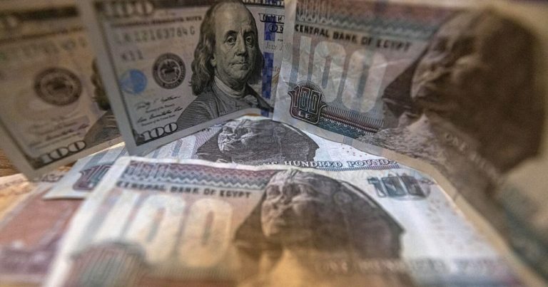 الدولار مقابل الجنيه المصري watanserb.com