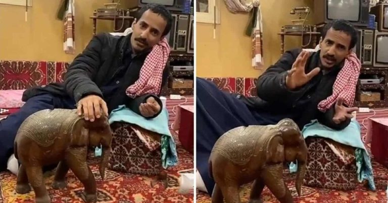 سعودي سرق الفيل الإله watanserb.com
